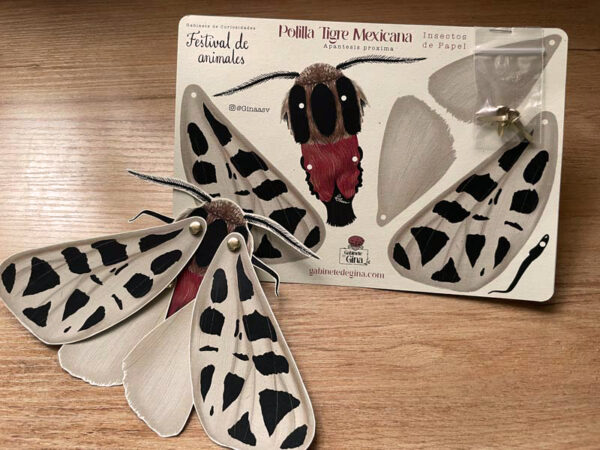 Armable de papel - Polilla tigre - Imagen 4