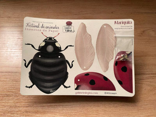 Armable de papel - Mariquita Catarina - Imagen 3