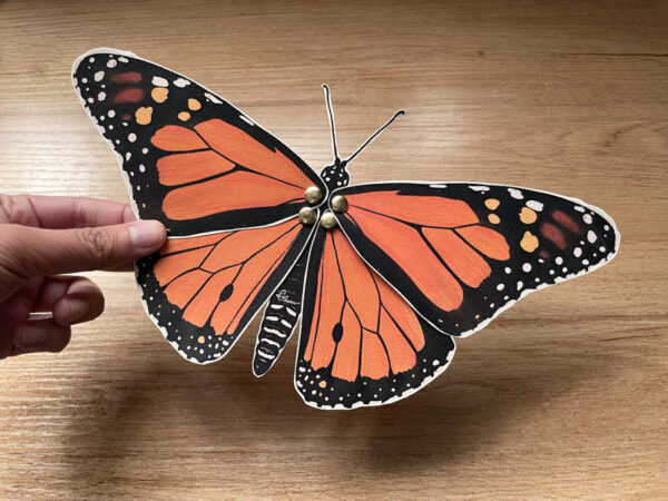 Armable de papel - Mariposa Monarca - Imagen 2