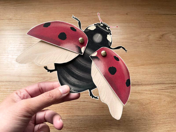 Armable de papel - Mariquita Catarina - Imagen 2