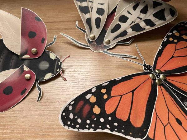 Armable de papel - Mariposa Monarca - Imagen 5