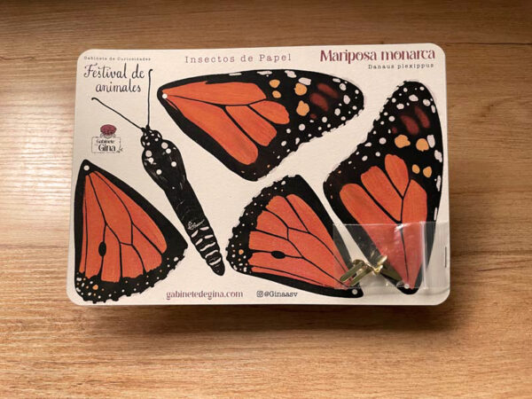 Armable de papel - Mariposa Monarca - Imagen 4