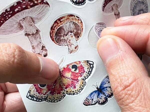 Planilla de stickers Mariposa y hongos - Imagen 3